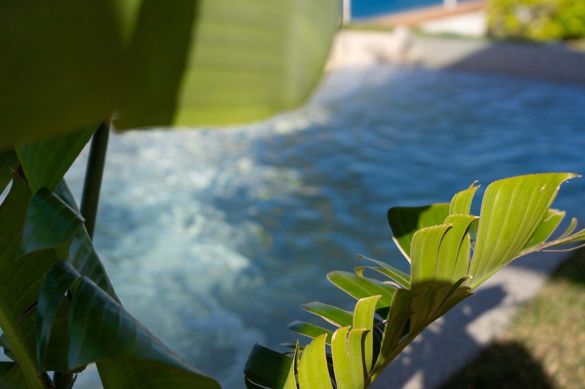 Villa Zagara Garden Spectacular Sea View In Taormina Exterior foto